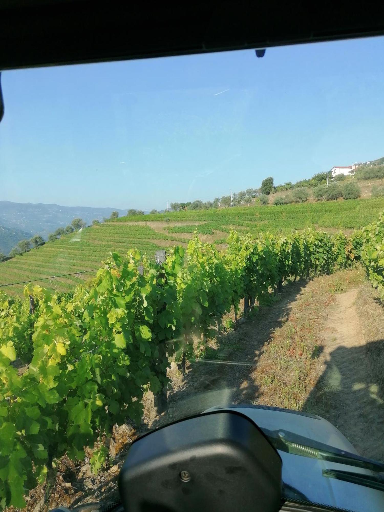 فيلا Quinta De Baixo Vila Marim المظهر الخارجي الصورة